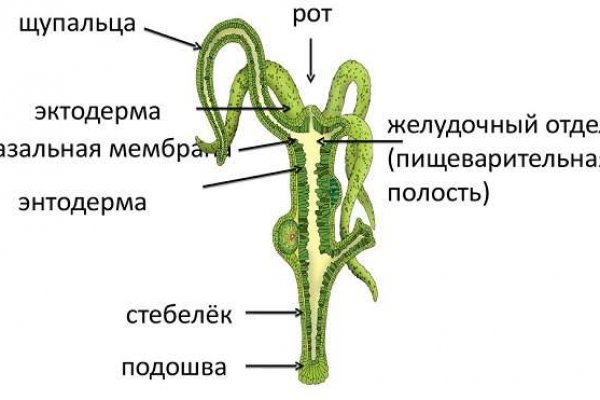 Кракен марке даркнет